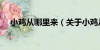 小雞從哪里來(關于小雞從哪里來簡介)