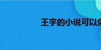 王宇的小說可以免費看