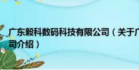 廣東毅科數碼科技有限公司(關于廣東毅科數碼科技有限公司介紹)