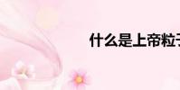 什么是上帝粒子?