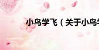 小鳥學飛(關于小鳥學飛簡介)