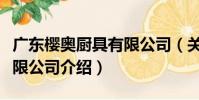 廣東櫻奧廚具有限公司(關于廣東櫻奧廚具有限公司介紹)