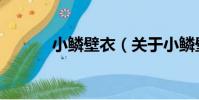 小鱗壁衣(關于小鱗壁衣簡介)