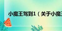 小魔王駕到1(關于小魔王駕到1簡介)