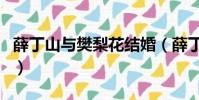 薛丁山與樊梨花結婚(薛丁山與樊梨花電視劇)
