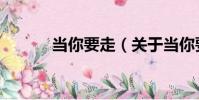 當你要走(關于當你要走介紹)