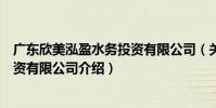 廣東欣美泓盈水務投資有限公司(關于廣東欣美泓盈水務投資有限公司介紹)
