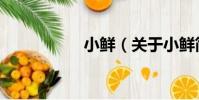 小鮮(關于小鮮簡介)