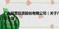 廣東民營投資股份有限公司(關于廣東民營投資股份有限公司介紹)