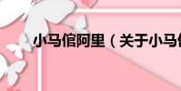 小馬倌阿里(關于小馬倌阿里簡介)