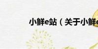 小鮮e站(關于小鮮e站簡介)