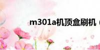 m301a機頂盒刷機(m301)