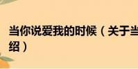 當你說愛我的時候(關于當你說愛我的時候介紹)