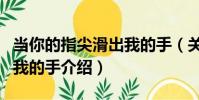 當你的指尖滑出我的手(關于當你的指尖滑出我的手介紹)