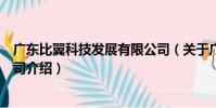 廣東比翼科技發展有限公司(關于廣東比翼科技發展有限公司介紹)