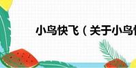 小鳥快飛(關于小鳥快飛簡介)