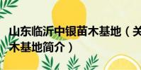 山東臨沂中銀苗木基地(關于山東臨沂中銀苗木基地簡介)