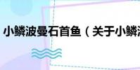 小鱗波曼石首魚(關于小鱗波曼石首魚簡介)
