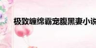 極致纏綿霸寵腹黑妻小說(極致纏綿)