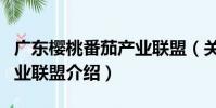 廣東櫻桃番茄產業聯盟(關于廣東櫻桃番茄產業聯盟介紹)