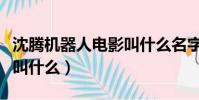 沈騰機器人電影叫什么名字(沈騰機器人電影叫什么)