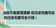 當你不能享受孤寂 你注定無路可去(關于當你不能享受孤寂 你注定無路可去介紹)