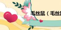 毛絲鼠(毛絲鼠)