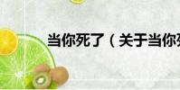 當你死了(關于當你死了介紹)