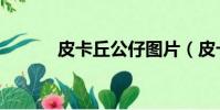 皮卡丘公仔圖片(皮卡丘公仔)