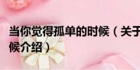 當你覺得孤單的時候(關于當你覺得孤單的時候介紹)
