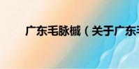 廣東毛脈槭(關于廣東毛脈槭介紹)