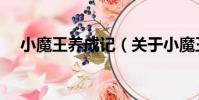 小魔王養成記(關于小魔王養成記簡介)