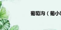 葡萄溝(葡小萄)