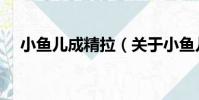 小魚兒成精拉(關于小魚兒成精拉簡介)