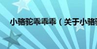 小駱駝乖乖乖(關于小駱駝乖乖乖簡介)