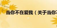 當你不在愛我(關于當你不在愛我介紹)