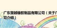 廣東楚越橡膠制品有限公司(關于廣東楚越橡膠制品有限公司介紹)