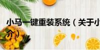 小馬一鍵重裝系統(關于小馬一鍵重裝系統簡介)