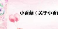 小香菇(關于小香菇簡介)
