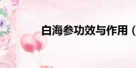 白海參功效與作用(白海參)
