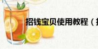 招錢寶貝使用教程(招錢寶貝)
