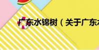 廣東水錦樹(關于廣東水錦樹介紹)