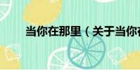 當你在那里(關于當你在那里介紹)