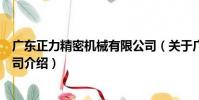 廣東正力精密機械有限公司(關于廣東正力精密機械有限公司介紹)