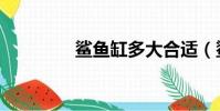 鯊魚缸多大合適(鯊魚缸)