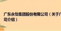 廣東永怡集團股份有限公司(關于廣東永怡集團股份有限公司介紹)