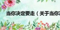 當你決定要走(關于當你決定要走介紹)