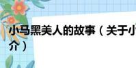 小馬黑美人的故事(關于小馬黑美人的故事簡介)