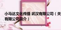小馬達文化傳播 武漢有限公司(關于小馬達文化傳播 武漢有限公司簡介)