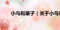 小鳥和菓子(關于小鳥和菓子簡介)